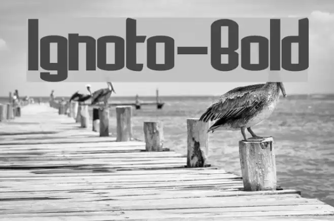 Ignoto-Bold Font examples