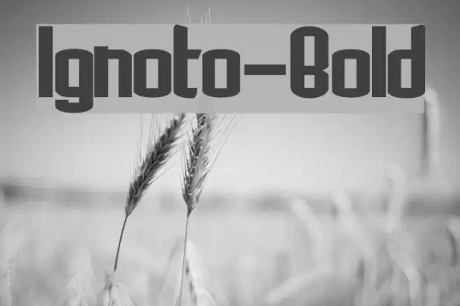 Ignoto-Bold Font examples