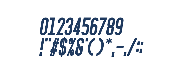 Ignotum Bold Italic Other Characters