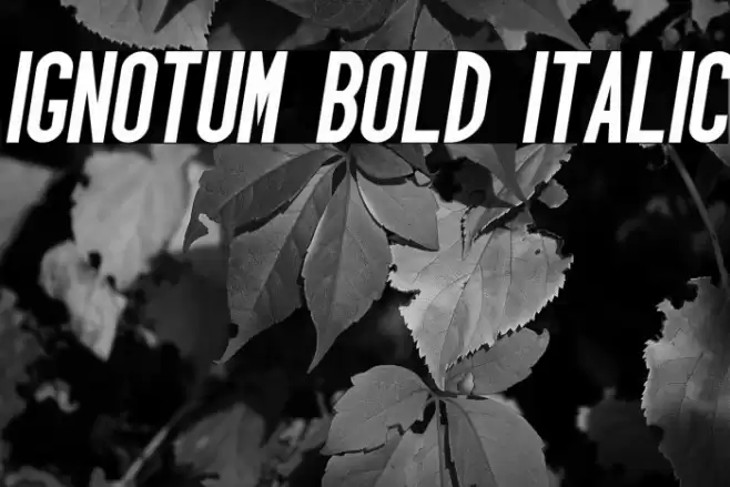 Ignotum Bold Italic Font examples