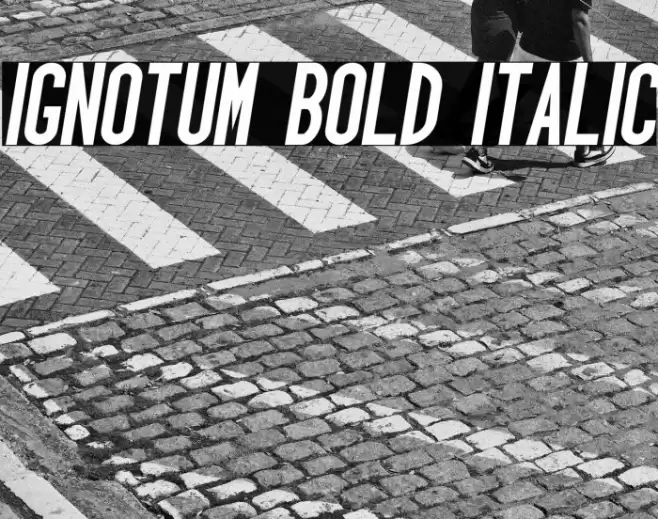 Ignotum Bold Italic Font examples