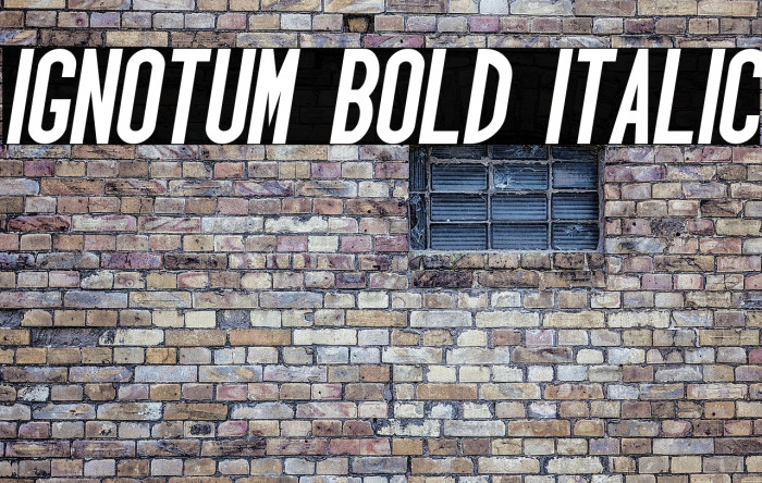 Ignotum Bold Italic Example 3