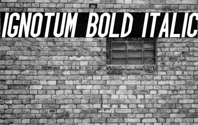 Ignotum Bold Italic Font examples