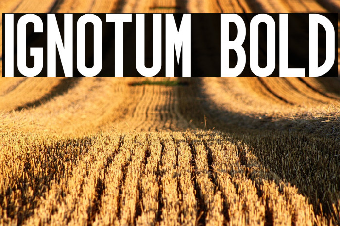 Ignotum Bold Example 1