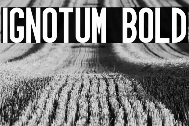 Ignotum Bold Font examples
