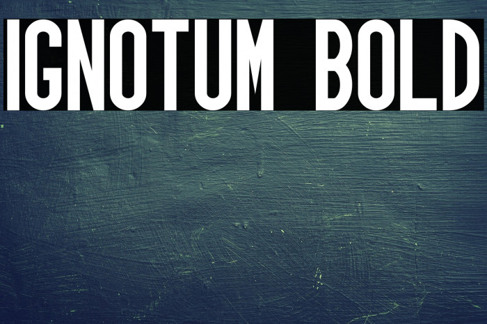 Ignotum Bold Example 2