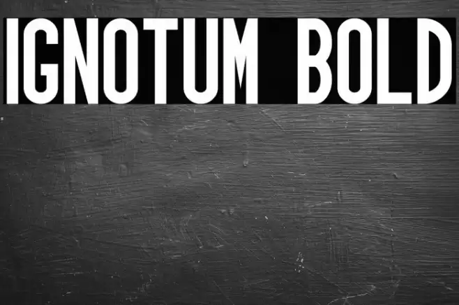 Ignotum Bold Font examples