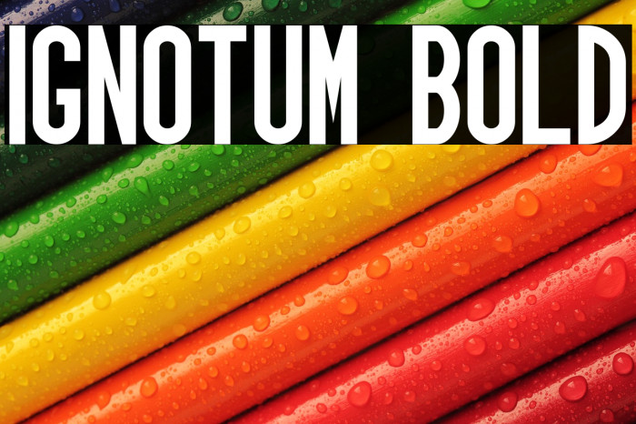Ignotum Bold Example 3