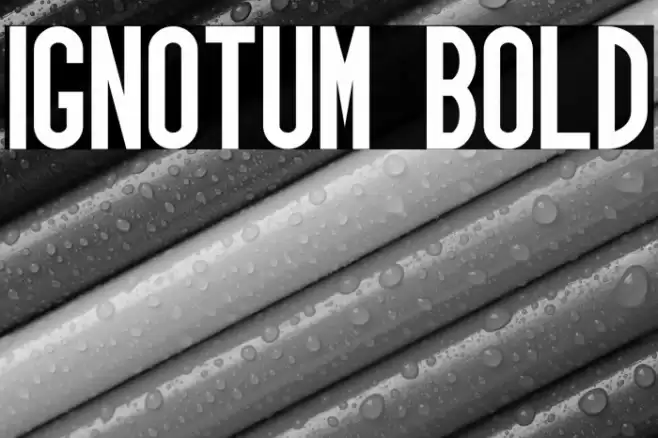 Ignotum Bold Font examples