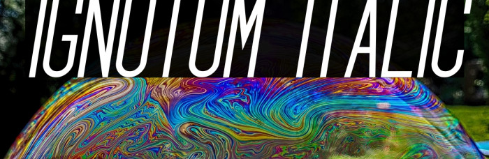 Ignotum Italic Example 1