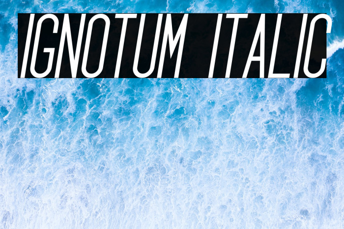 Ignotum Italic Example 2