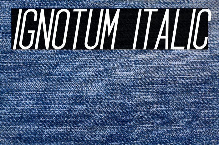 Ignotum Italic Example 3