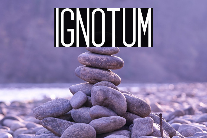 Ignotum Example 1