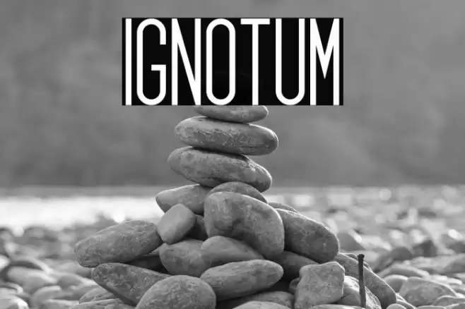 Ignotum Font examples