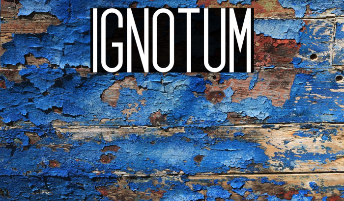 Ignotum Example 2
