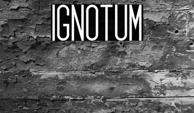 Ignotum Font examples