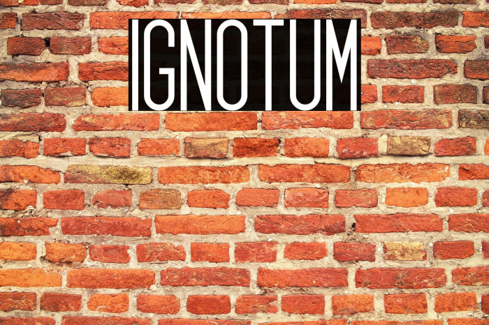 Ignotum Example 3