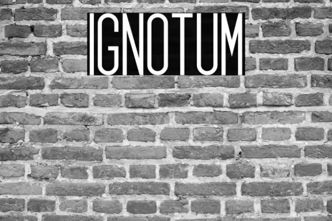 Ignotum Font examples