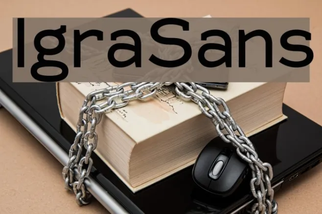 IgraSans Example 2