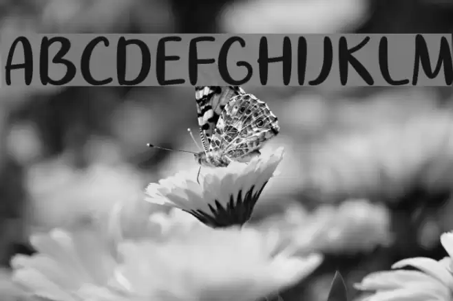 IHeartSummer-Regular Font examples