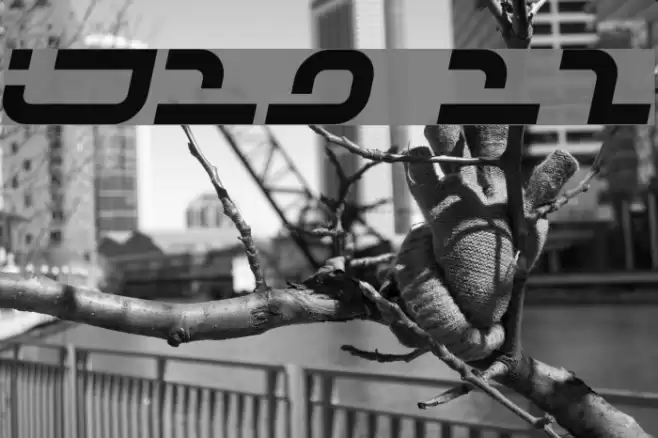 IJ19 12 Polices examples