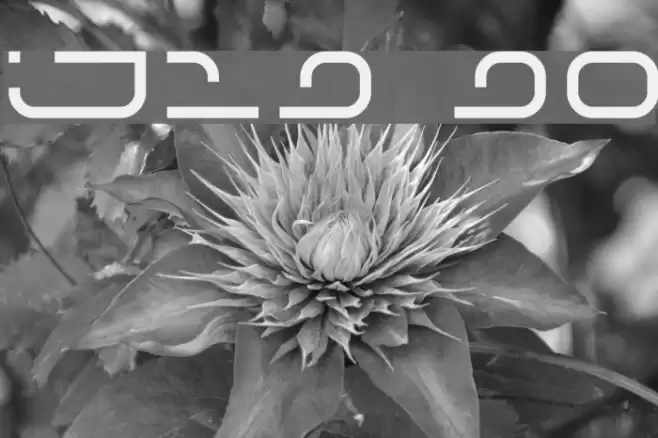 IJ19 90 Font examples