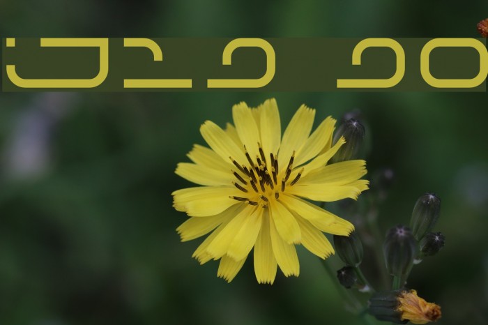 IJ19 90 Font examples