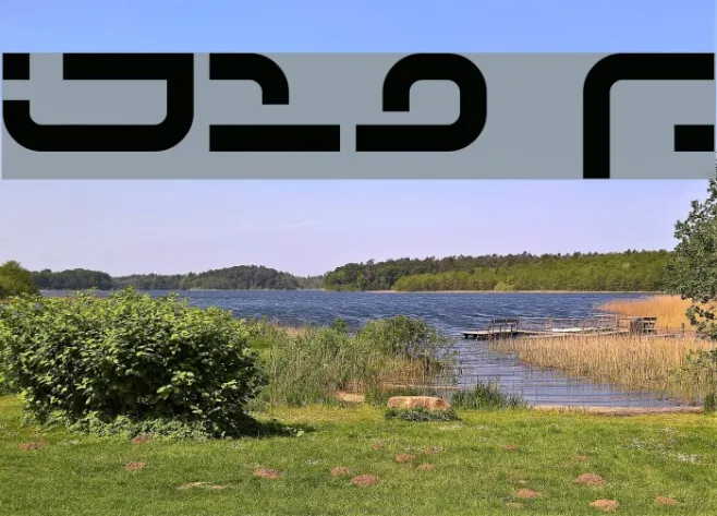 IJ19 Example 1