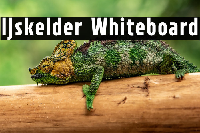 IJskelder Whiteboard Example 2