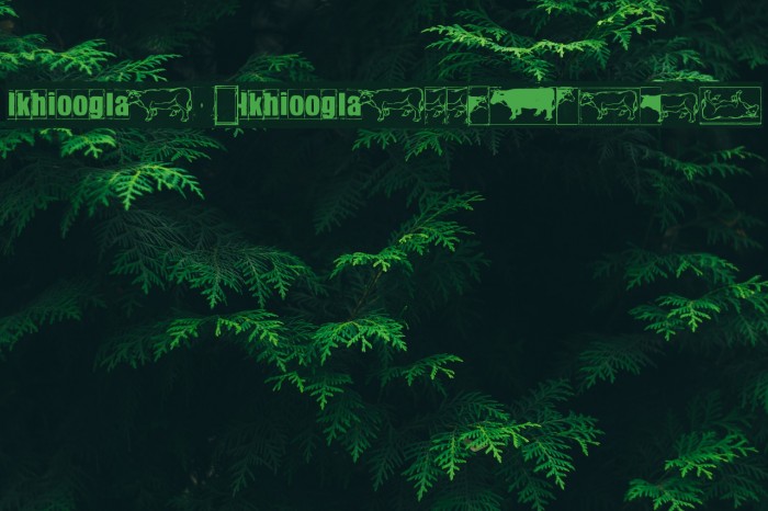 IKHIOOGLAcow Font examples