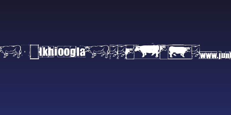 IKHIOOGLAcow Social Header