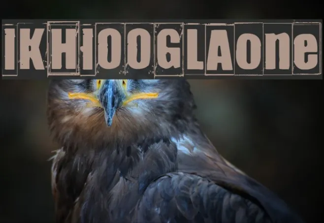 IKHIOOGLAone Example 2