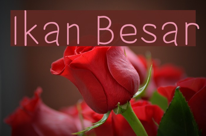 Ikan Besar Font examples