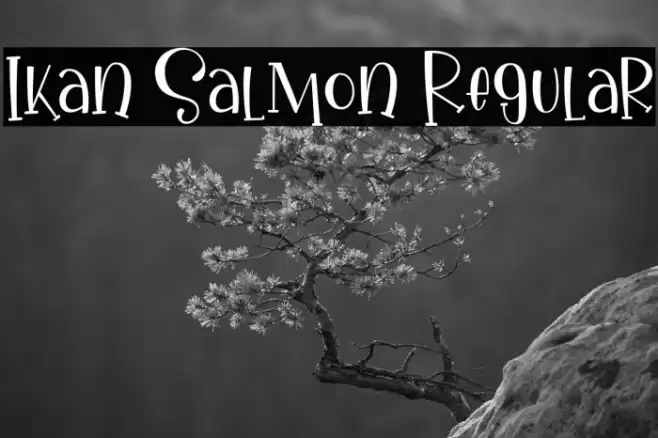Ikan Salmon Regular Font examples