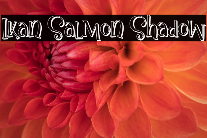 Ikan Salmon Shadow Example 2