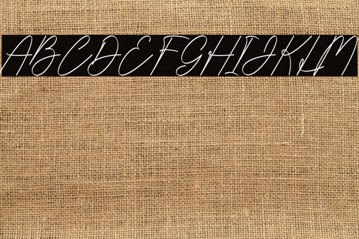 Ikan Tongkol Example 1