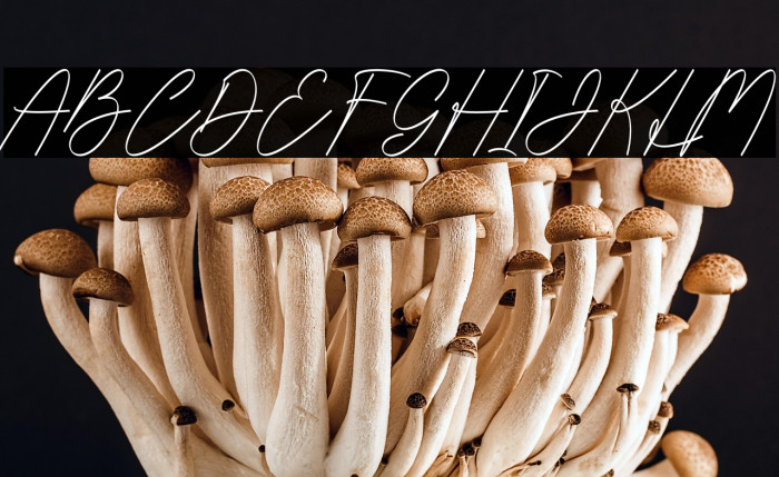 Ikan Tongkol Example 2