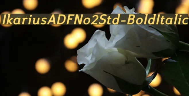 IkariusADFNo2Std-BoldItalic Example 3