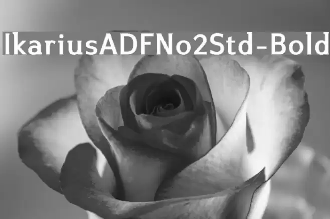 IkariusADFNo2Std-Bold Fuentes examples