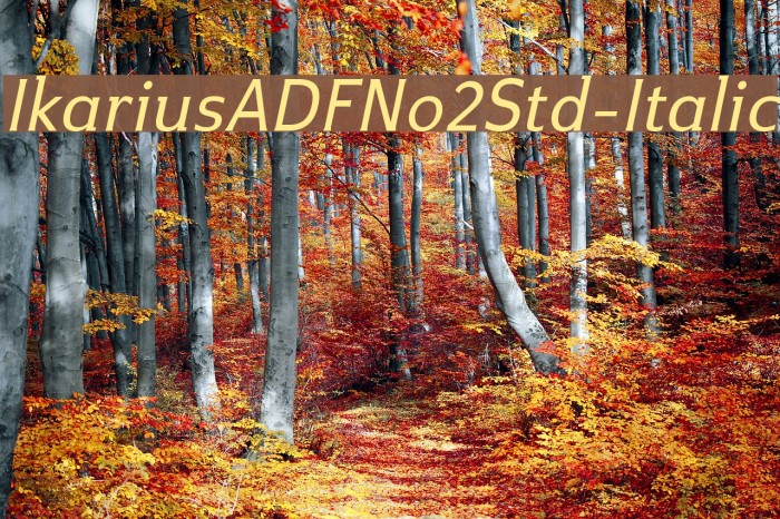 IkariusADFNo2Std-Italic Font examples