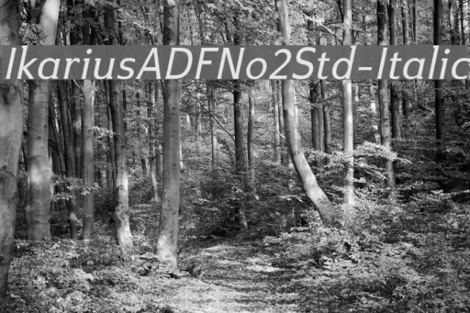 IkariusADFNo2Std-Italic Font examples