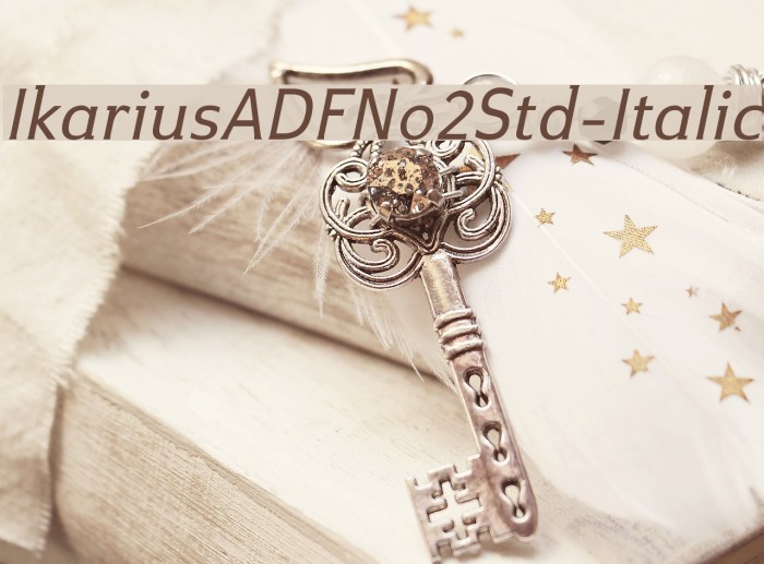 IkariusADFNo2Std-Italic Font examples