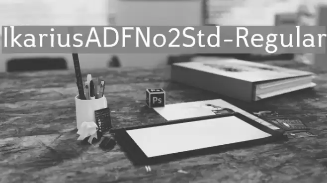 IkariusADFNo2Std-Regular Polices examples