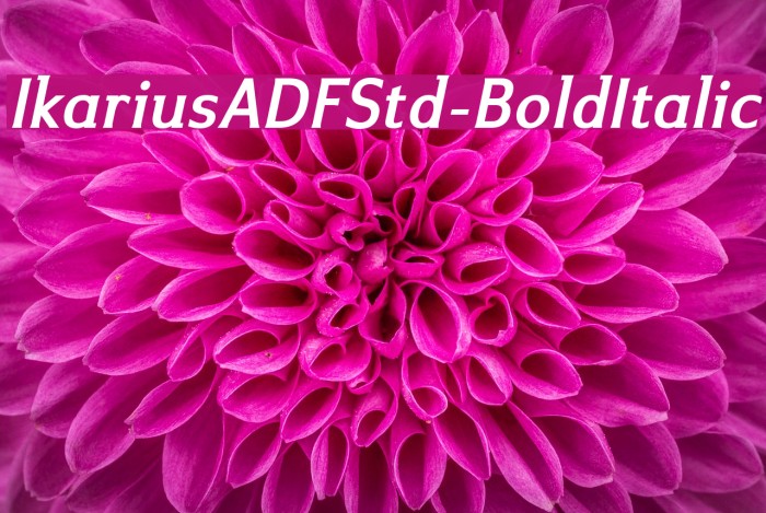 IkariusADFStd-BoldItalic Font examples