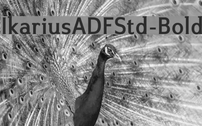 IkariusADFStd-Bold Font examples