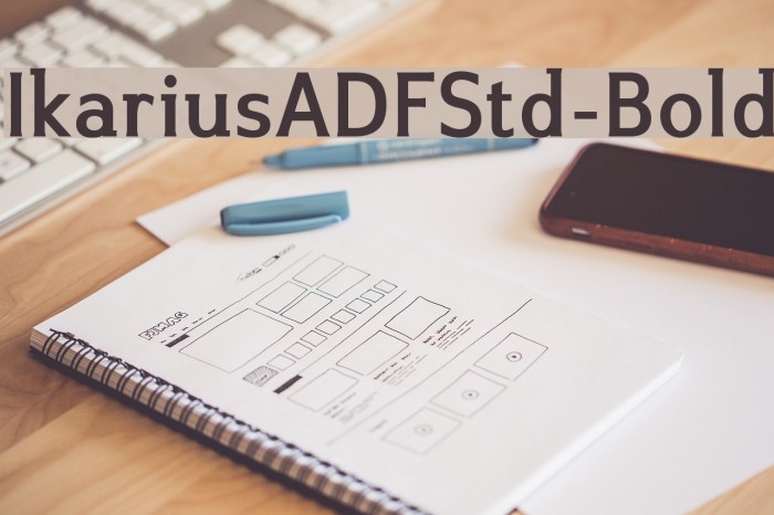 IkariusADFStd-Bold Font examples