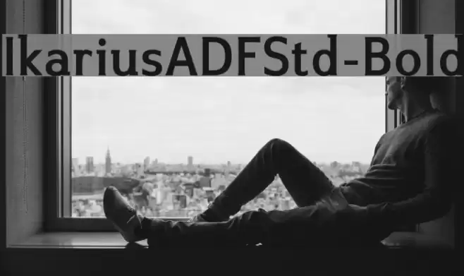 IkariusADFStd-Bold Font examples