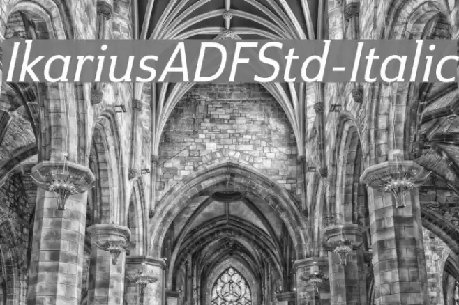 IkariusADFStd-Italic フォント examples