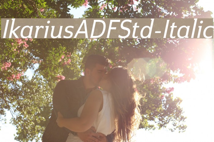 IkariusADFStd-Italic Font examples