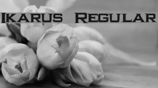 Ikarus Regular Шрифта examples